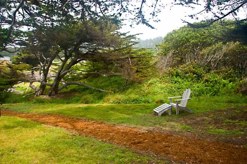 Landscape - chair under trees near path